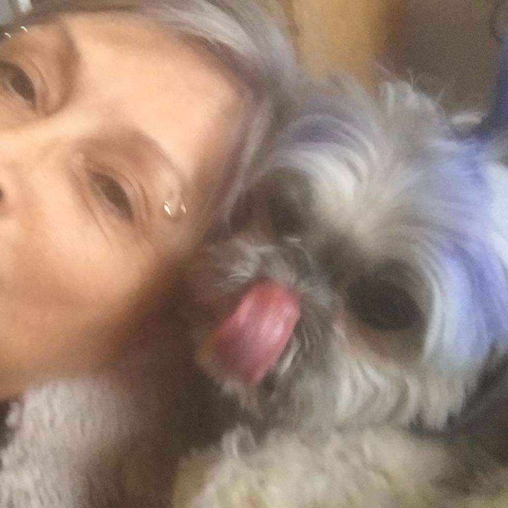 Meet your Posher, Pamela